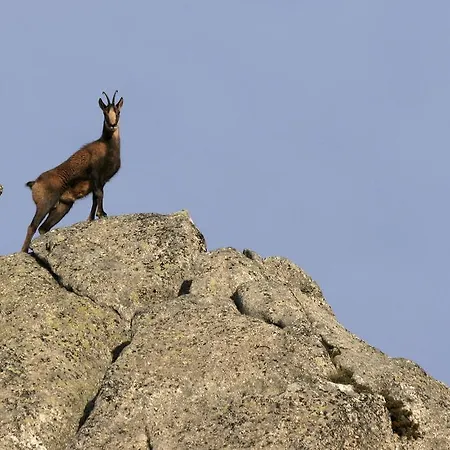 Vvf Pyrenees Canigou База отдыха Пра-де-Молло-ла-Прест