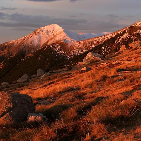 Tatil parkı Vvf Pyrenees Canigou Prats-de-Mollo-la-Preste